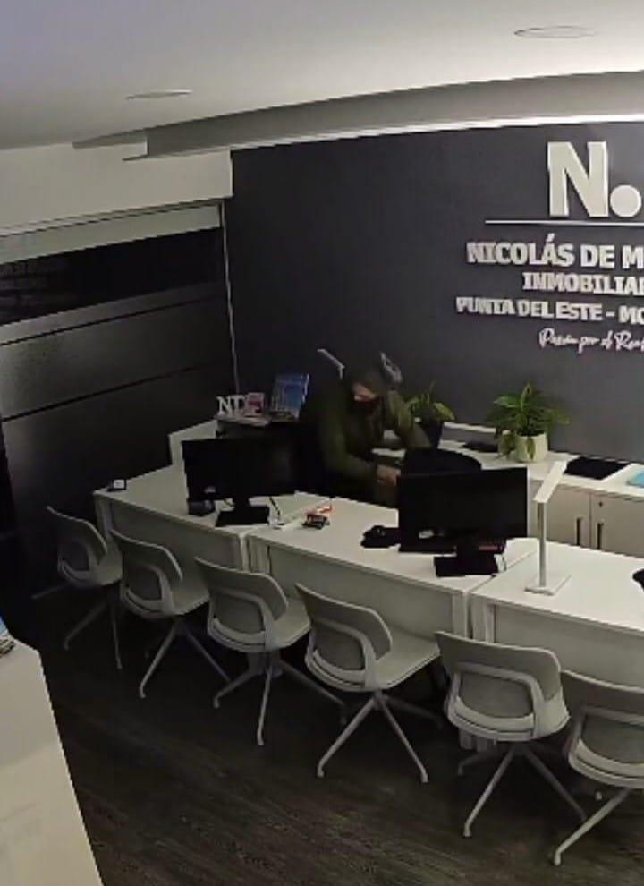 Imagen 2 de la galería