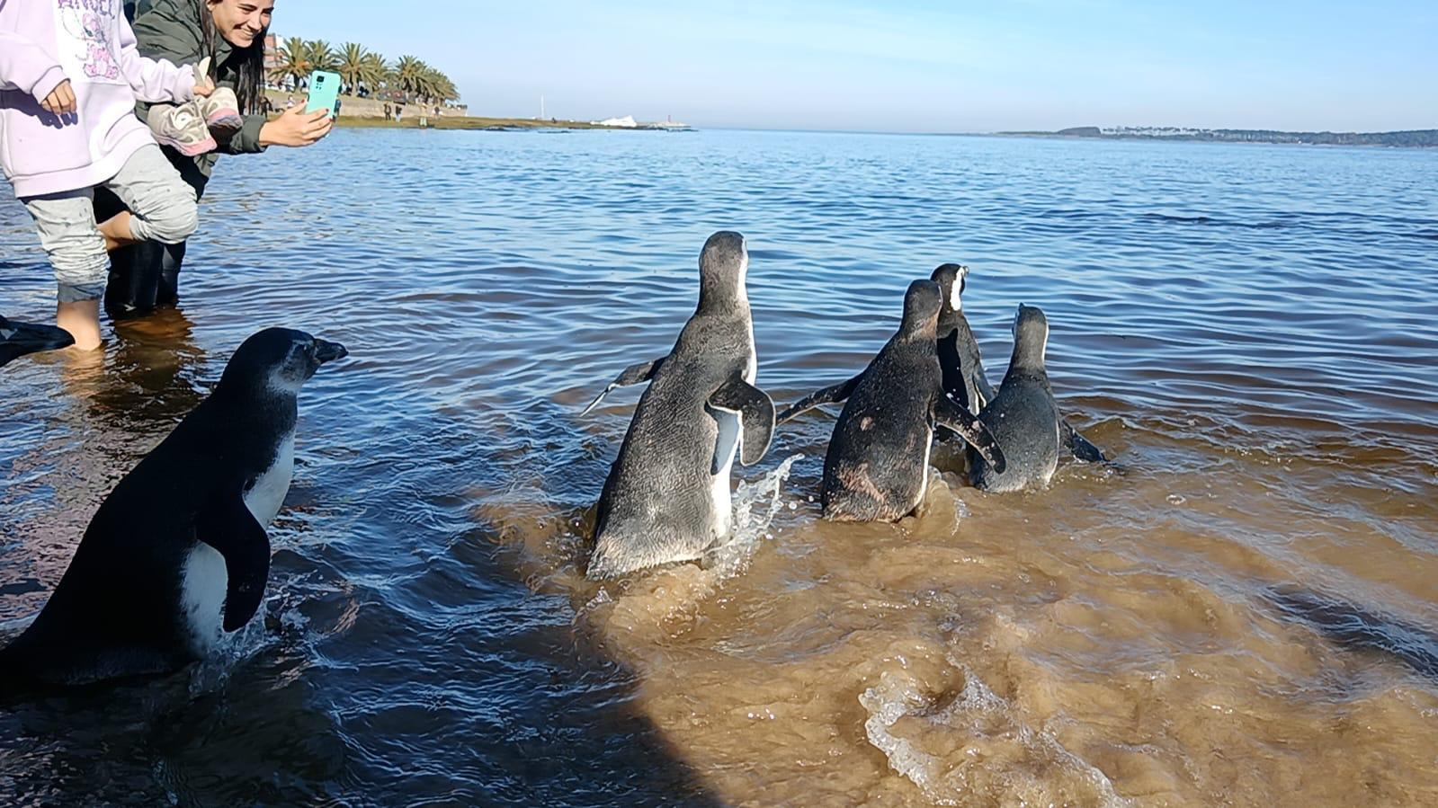 Imagen 3 de la galería