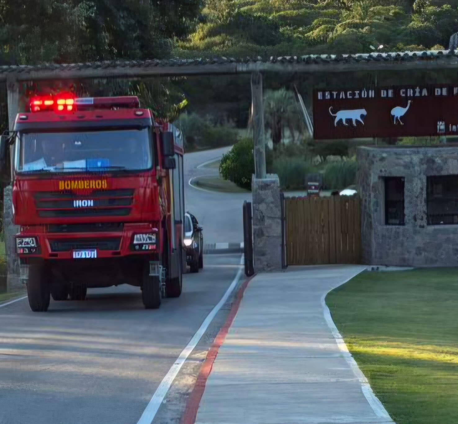 Imagen 2 de la galería