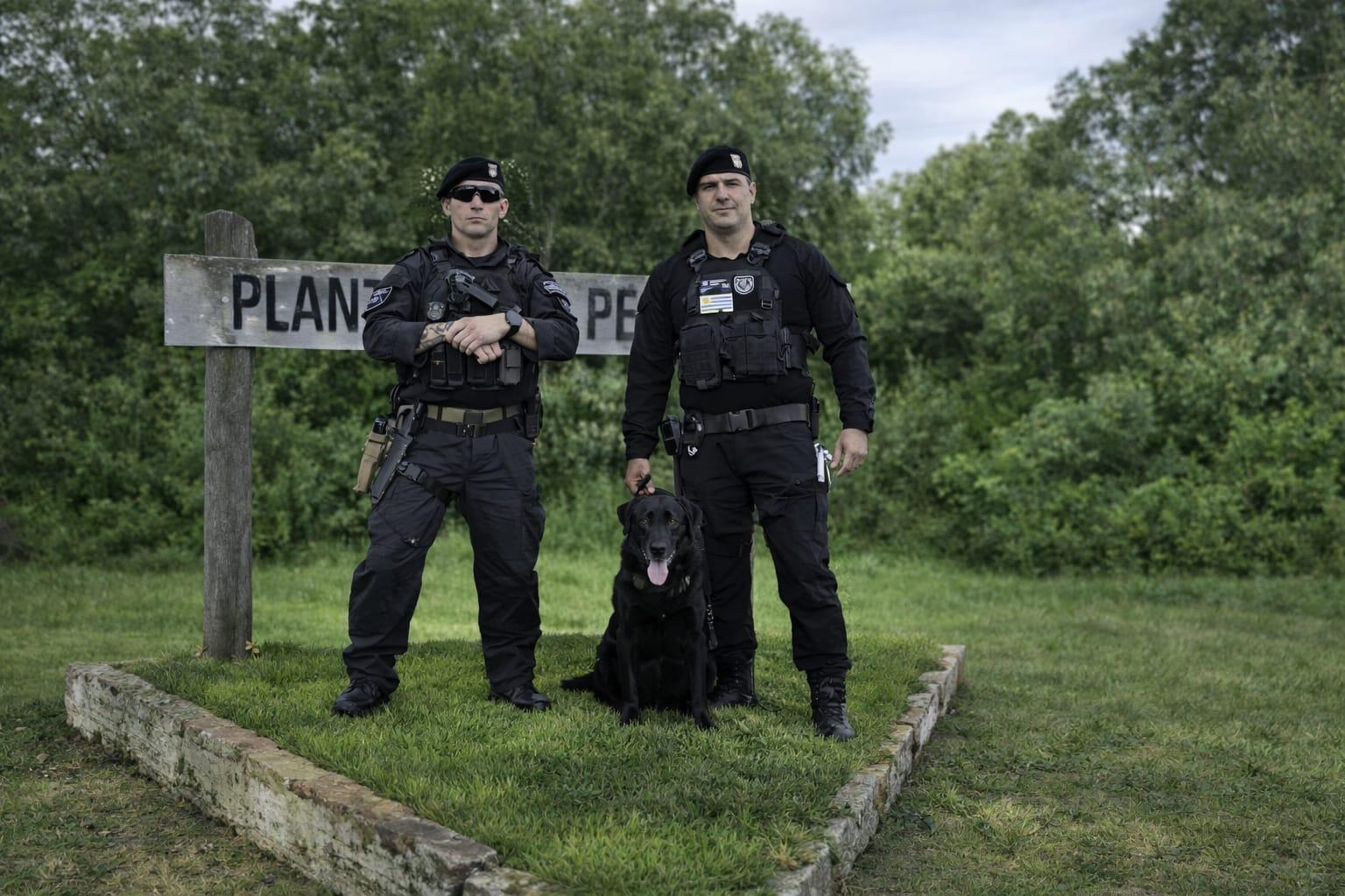 Imagen 1 de la galería