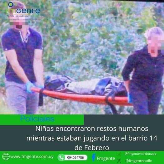 Imagen 2 de la galería