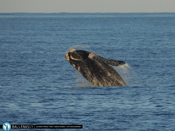 Fotógrafo de naturaleza: “Hay un turismo de gente de mucho dinero que no le interesa las fiestas sino el contacto con la naturaleza”
