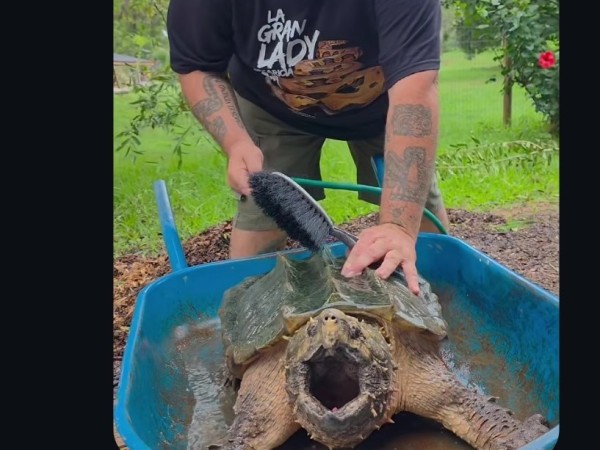 “Todos queremos el m...