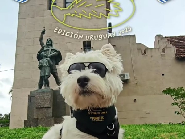 Se viene el Festival...