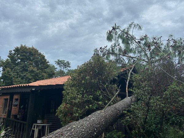 Se registraron varias afectaciones por la tormenta en diferentes puntos del departamento