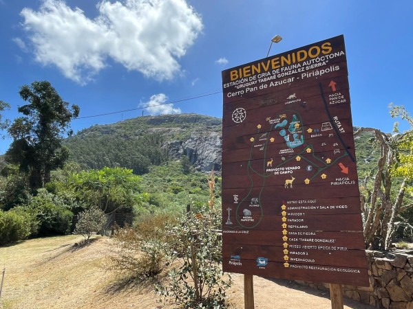 Reserva de Fauna de Pan de Azúcar con estado sanitario “excelente”, aseguró encargada tras casos de gripe aviar en el departamento