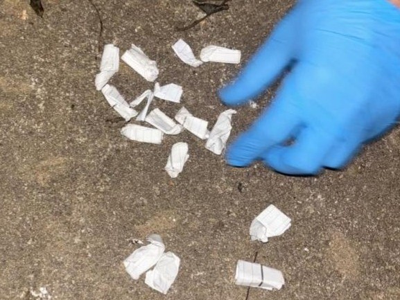 Vio llegar a la Poli...