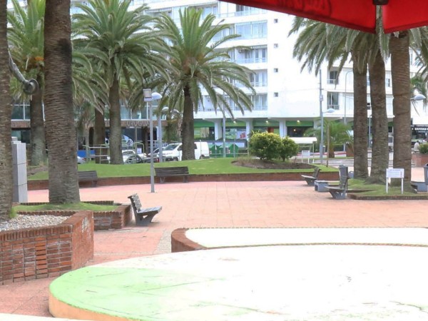 Ediles del Frente Am...