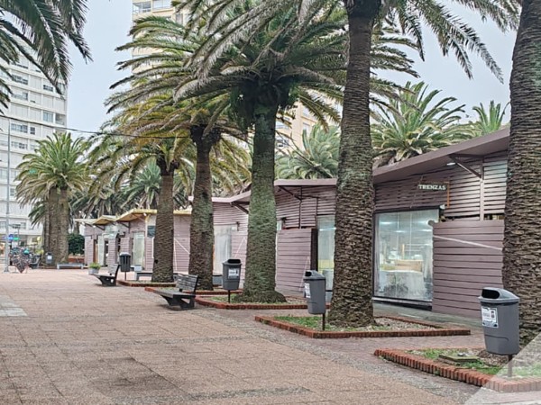 Artesanos de Plaza A...