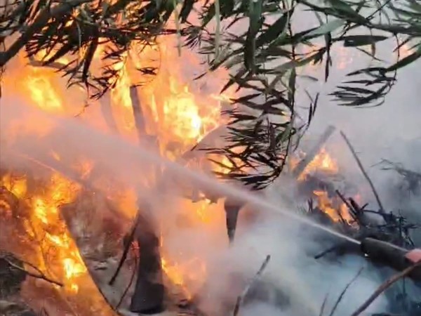 Incendio en vertedero de Balneario Buenos Aires