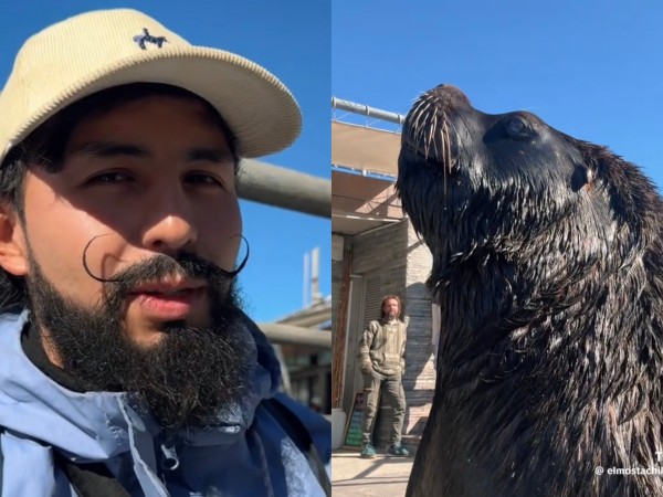Turista vivió un ins...