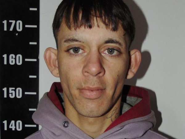 Cometió una serie de hurtos y una rapiña en los últimos días; fue detenido y condenado