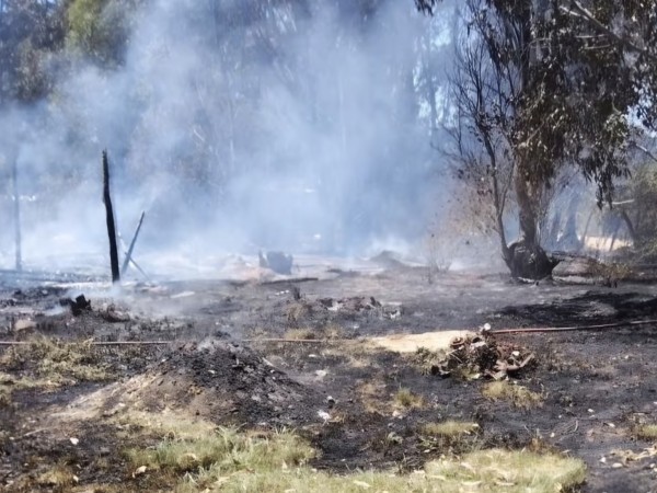 Una familia perdió t...