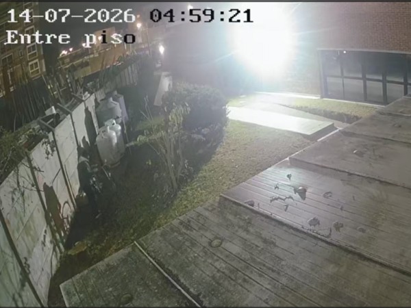 Video║Así roban la b...