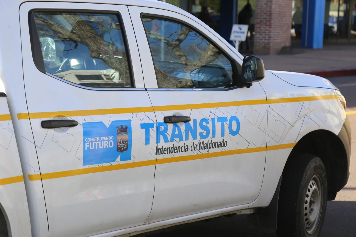 Intendencia de Maldo...