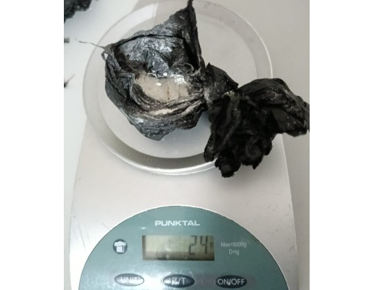 Joven de 18 años que...