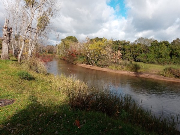 Municipio de Aiguá p...