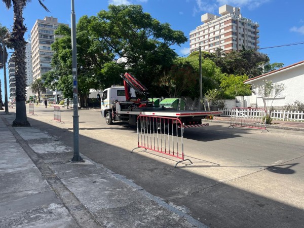 Se celebra la segund...