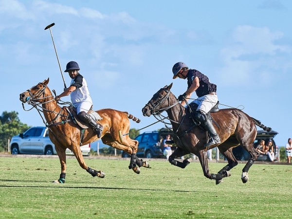 Torneos de polo en Punta del Este contarán con la presencia de grandes figuras