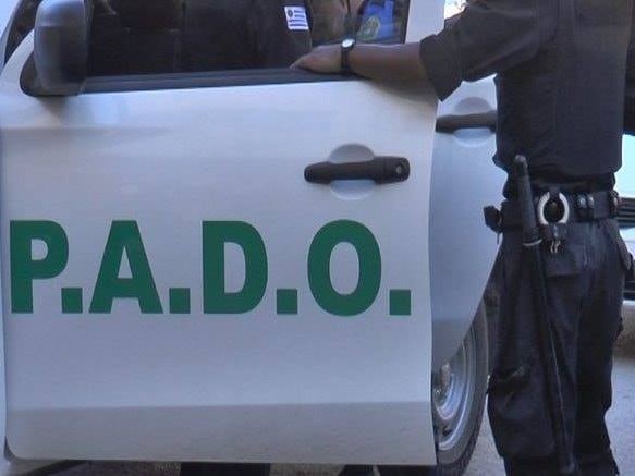 Un hombre rapiñó un comercio con un hacha; su cómplice fue formalizado