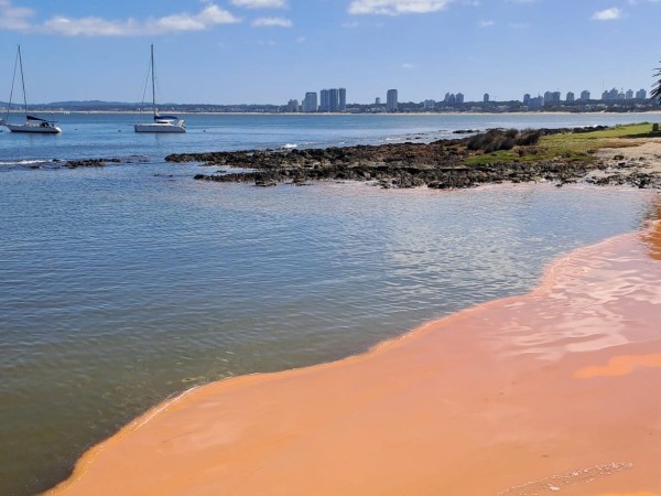 Intendencia de Maldo...