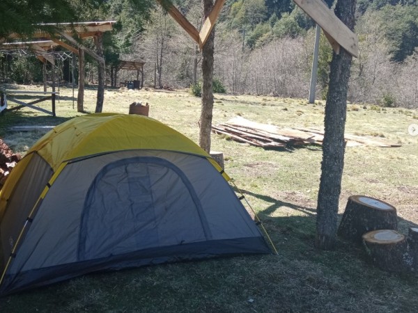 CECOED llamó a extremar cuidados en el tránsito y en el uso de fogones durante Semana de Turismo