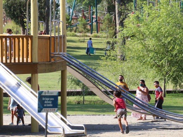 Director de parque E...