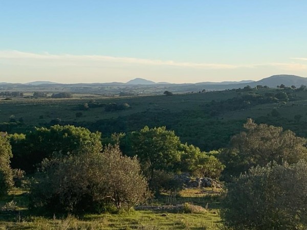 Sierras del Carapé:...