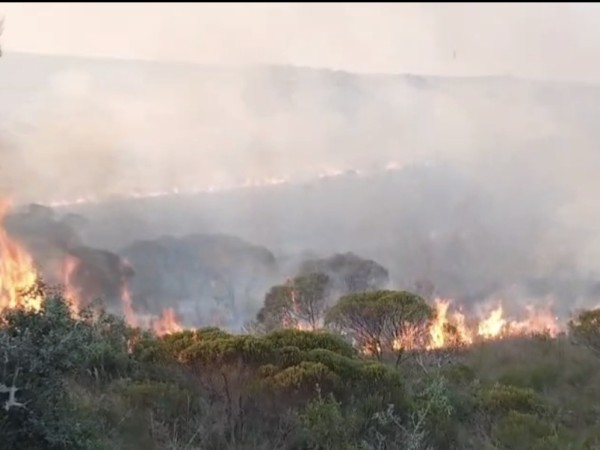 VIDEO|Incendio en Ar...
