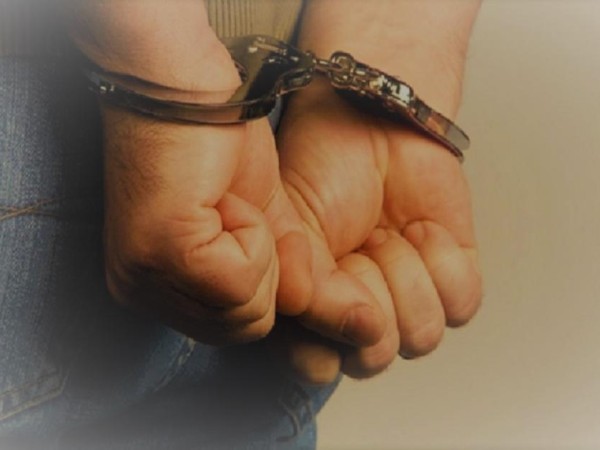 Robó casas y vehícul...