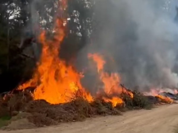 Se incendió “punto v...