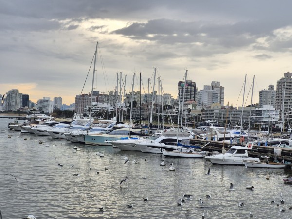 El 100% de la guardería y el 70% de las amarras ya están ocupadas en el puerto de Punta del Este