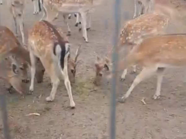 Parque Medina nuevam...