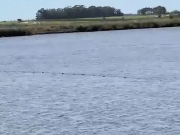 Pescadores reclaman...