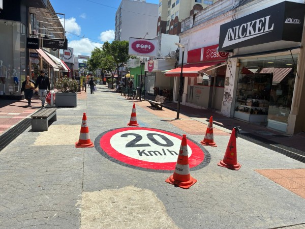 Comienzan trabajos d...