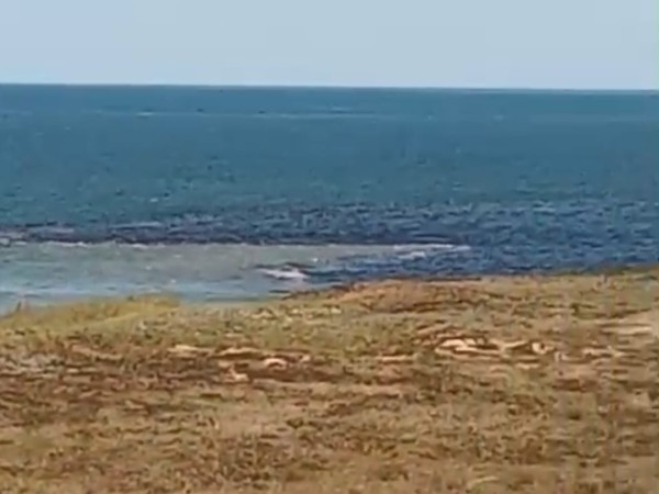 Aparición de presunta mancha en la costa se debió a un cambio en la corriente