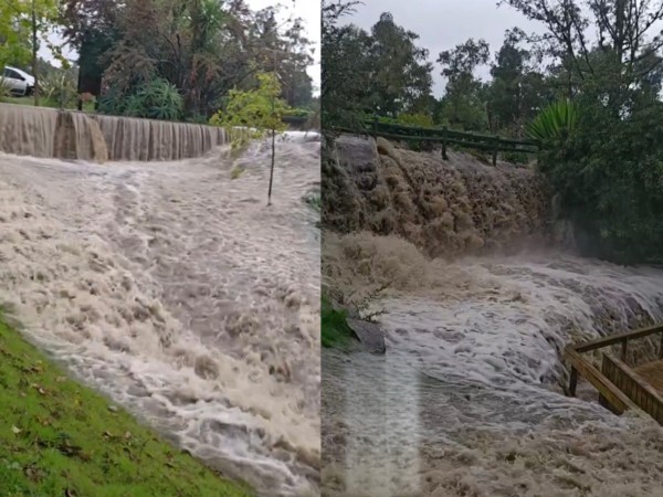Impactantes imágenes...