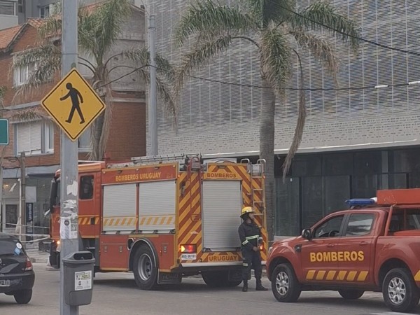 Falsa amenaza de bom...