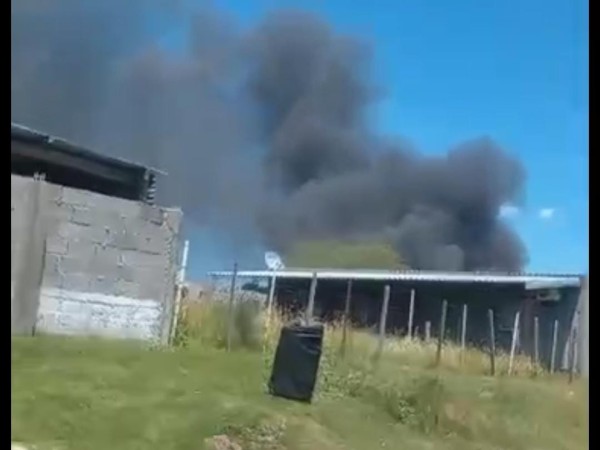 Debieron asistir a v...