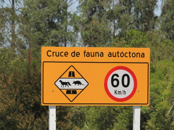 Proponen decreto para instalar cartelería que advierta sobre el cruce de fauna autóctona en rutas del departamento
