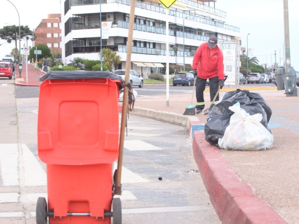 limpieza, zona costera, 15 toneladas, intendencia, 1ro. año,