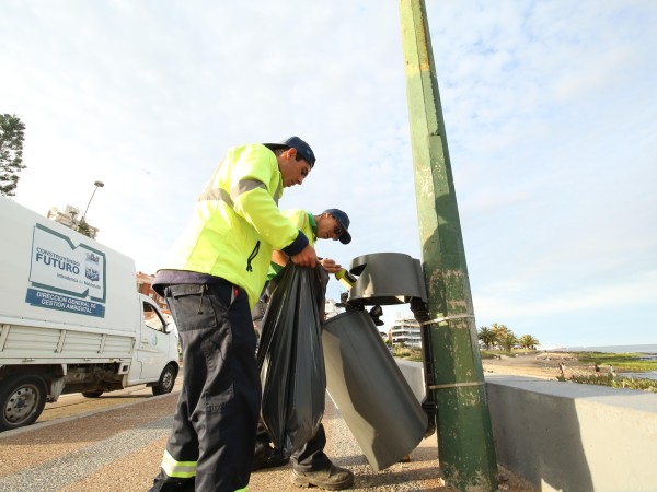 Maldonado prepara op...