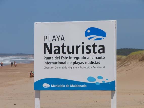 Chihuahua, Punta del Este, playa