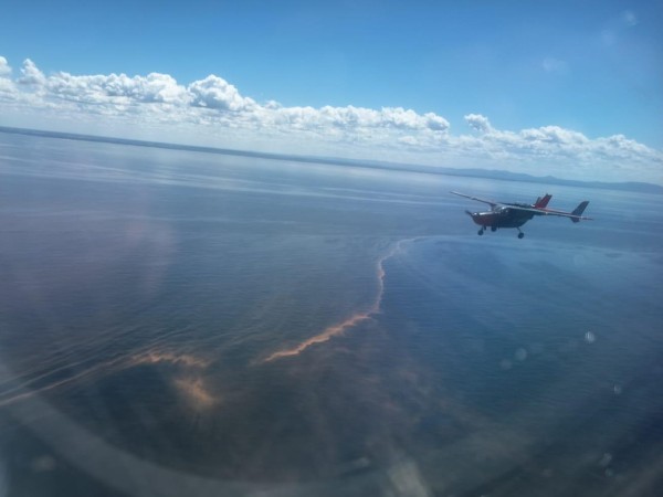 Así se ven desde el...