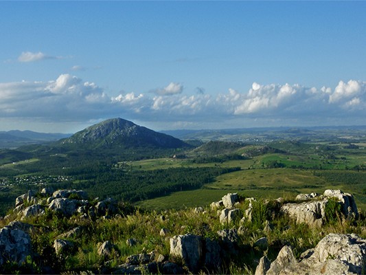 Red Ambiental Piriápolis está alerta por tala en el Cerro del Toro