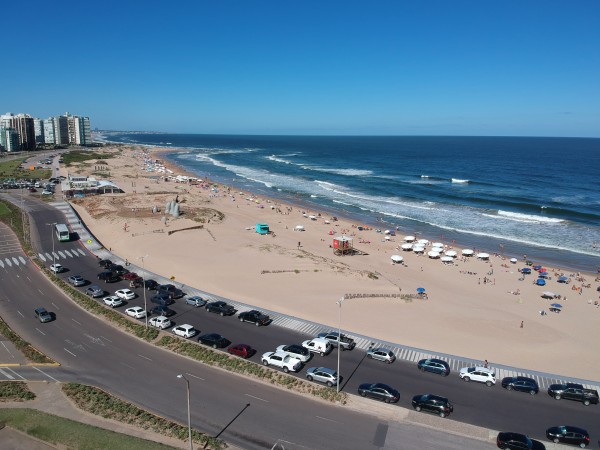 Sombrillas en la pla...