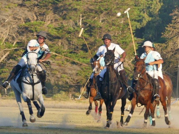 Polo en Punta del Es...