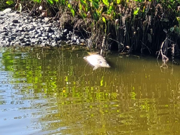 Preocupación en San...