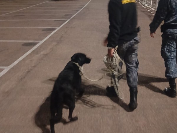 VIDEO| Rescataron un perro que nadaba mar adentro frente a la Parada 31 de la Mansa