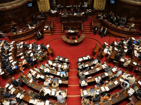 Diputados por Maldon...
